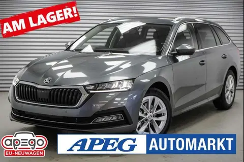 Used SKODA OCTAVIA Hybrid 2024 Ad 