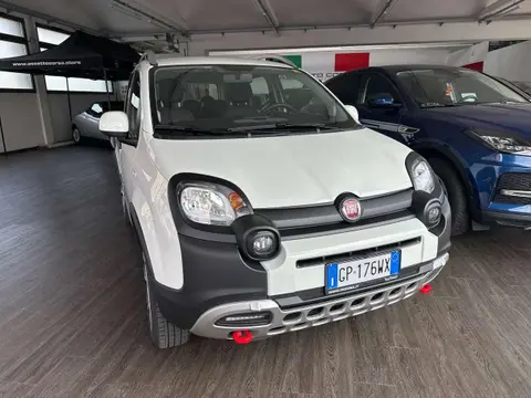 Used FIAT PANDA Petrol 2023 Ad 