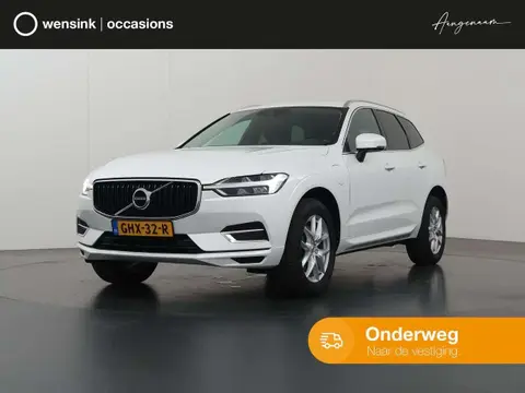 Annonce VOLVO XC60 Hybride 2019 d'occasion 