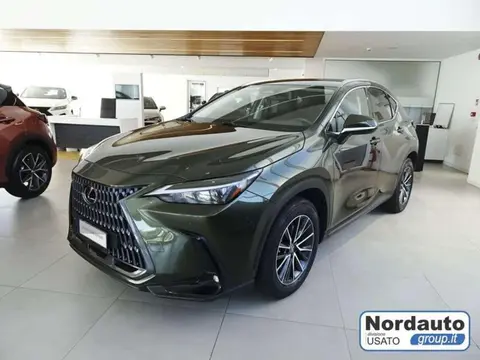 Used LEXUS NX Hybrid 2022 Ad 