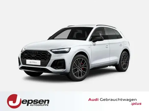 Used AUDI Q5 Hybrid 2024 Ad 