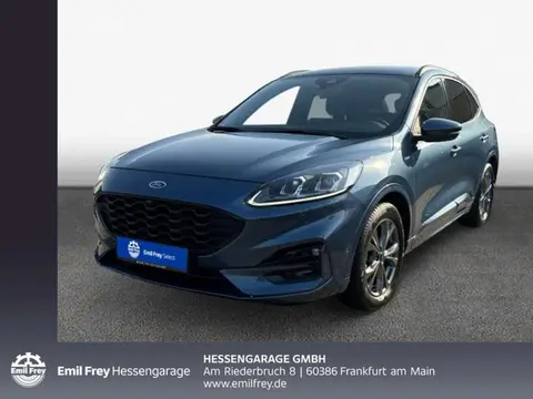 Used FORD KUGA Diesel 2023 Ad 