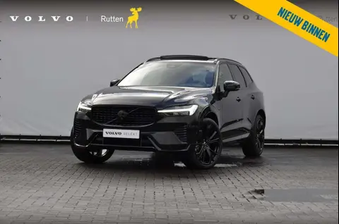 Used VOLVO XC60 Hybrid 2024 Ad 