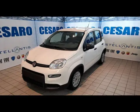 Annonce FIAT PANDA Hybride 2024 d'occasion 