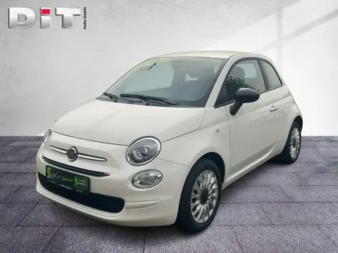 Used FIAT 500 Petrol 2023 Ad 