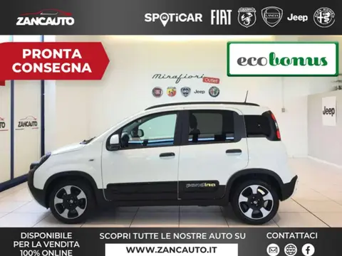 Used FIAT PANDA Hybrid 2024 Ad 