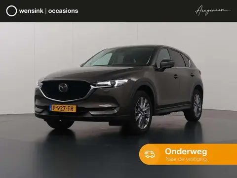 Used MAZDA CX-5 Petrol 2020 Ad 