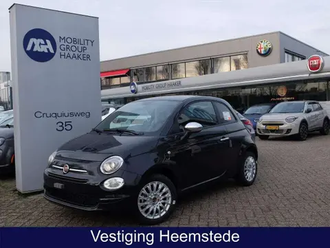 Used FIAT 500 Hybrid 2024 Ad 