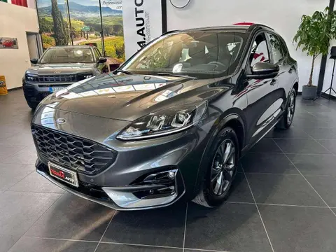 Annonce FORD KUGA Diesel 2023 d'occasion 