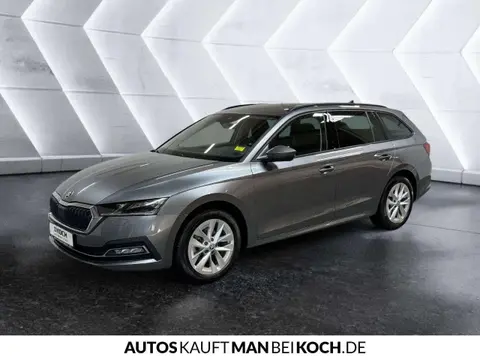 Annonce SKODA OCTAVIA Diesel 2024 d'occasion 