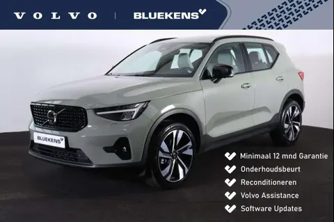 Used VOLVO XC40 Petrol 2024 Ad 