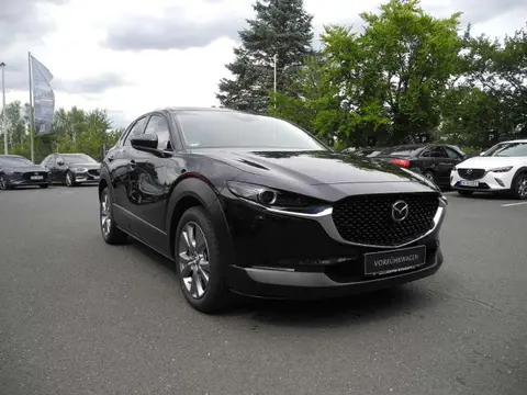 Used MAZDA CX-30 Petrol 2024 Ad 