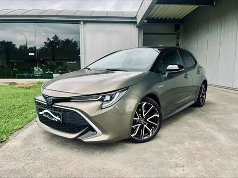 Used TOYOTA COROLLA Petrol 2019 Ad 