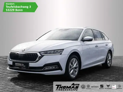 Used SKODA OCTAVIA Petrol 2023 Ad 