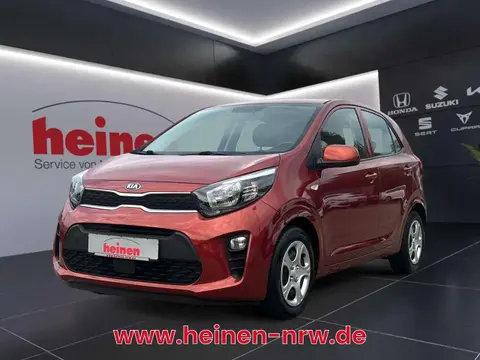 Used KIA PICANTO Petrol 2019 Ad 