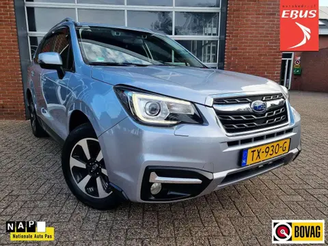 Used SUBARU FORESTER Petrol 2017 Ad 