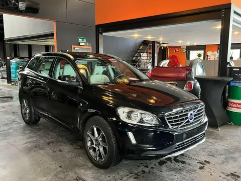 Annonce VOLVO XC60 Diesel 2016 d'occasion Belgique