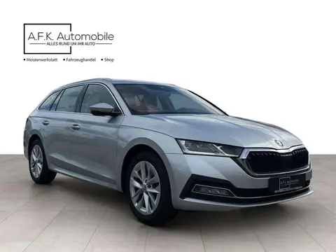 Used SKODA OCTAVIA Petrol 2023 Ad 