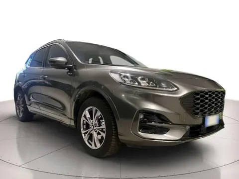 Annonce FORD KUGA Hybride 2023 d'occasion 