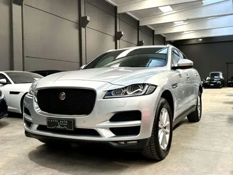 Used JAGUAR F-PACE Diesel 2017 Ad 