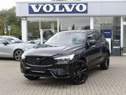 Used VOLVO XC60 Hybrid 2024 Ad 