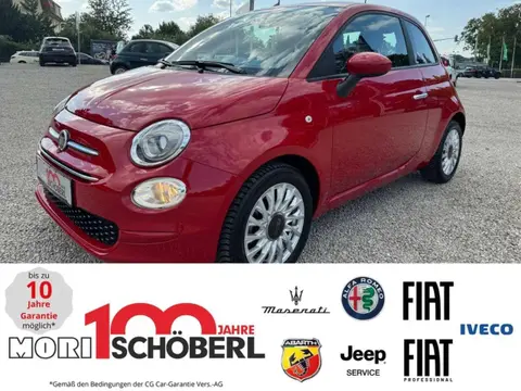 Used FIAT 500 Petrol 2021 Ad 