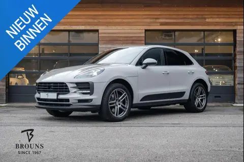 Used PORSCHE MACAN Petrol 2024 Ad 