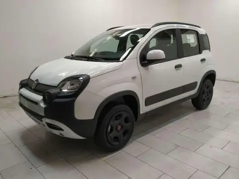 Used FIAT PANDA Petrol 2022 Ad 