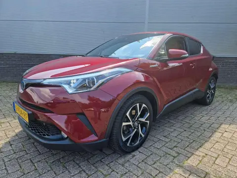 Used TOYOTA C-HR Hybrid 2019 Ad 