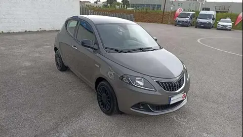 Used LANCIA YPSILON Hybrid 2022 Ad 