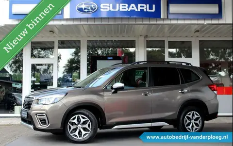 Used SUBARU FORESTER Petrol 2020 Ad 