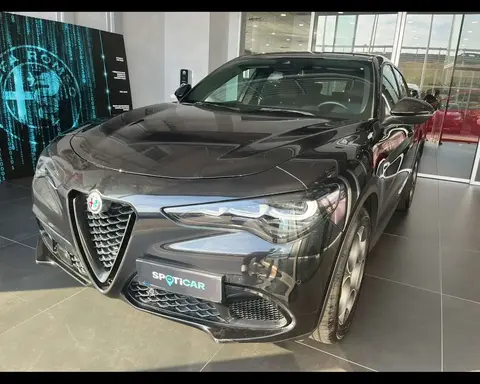 Used ALFA ROMEO STELVIO Diesel 2023 Ad 