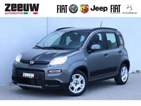 Annonce FIAT PANDA Essence 2023 d'occasion 