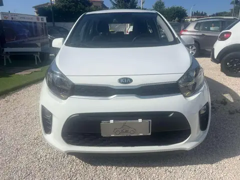 Annonce KIA PICANTO Essence 2021 d'occasion 