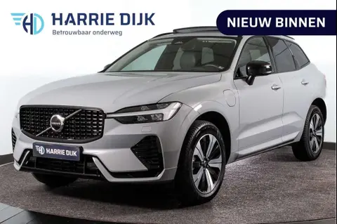 Used VOLVO XC60 Hybrid 2024 Ad 