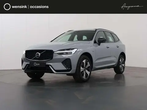 Used VOLVO XC60 Hybrid 2024 Ad 