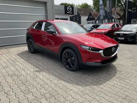 Annonce MAZDA CX-30 Hybride 2024 d'occasion 