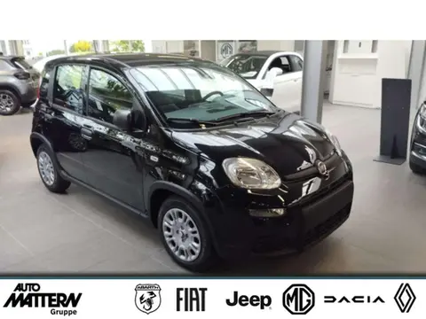 Used FIAT PANDA Petrol 2024 Ad 