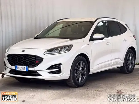 Used FORD KUGA Diesel 2021 Ad 