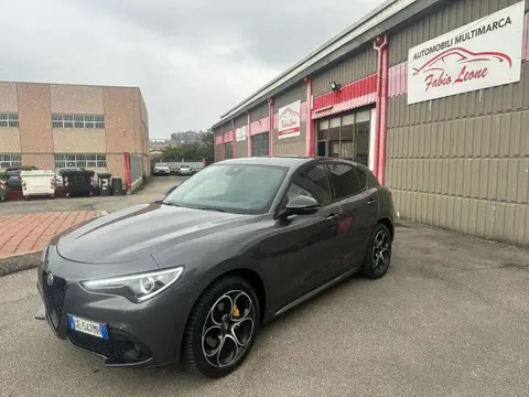 Used ALFA ROMEO STELVIO Diesel 2021 Ad 