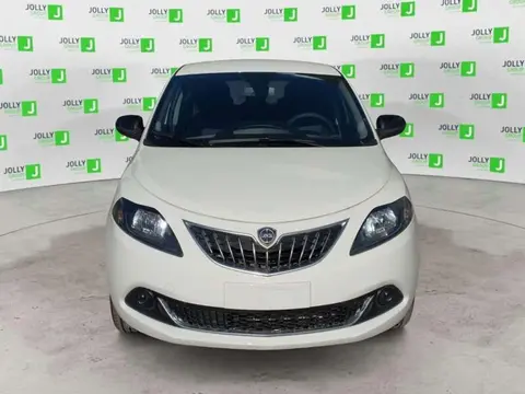 Used LANCIA YPSILON Hybrid 2024 Ad 