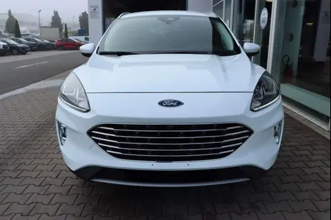 Used FORD KUGA Hybrid 2024 Ad 