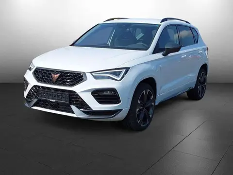 Used CUPRA ATECA Petrol 2024 Ad 