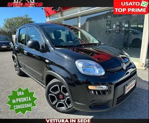 Annonce FIAT PANDA Hybride 2022 d'occasion 