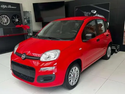 Used FIAT PANDA Petrol 2020 Ad 