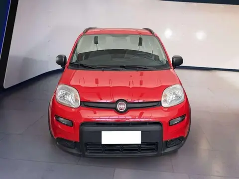 Used FIAT PANDA Hybrid 2021 Ad 