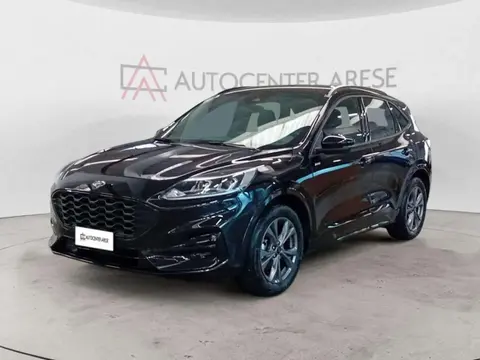 Used FORD KUGA Diesel 2023 Ad 