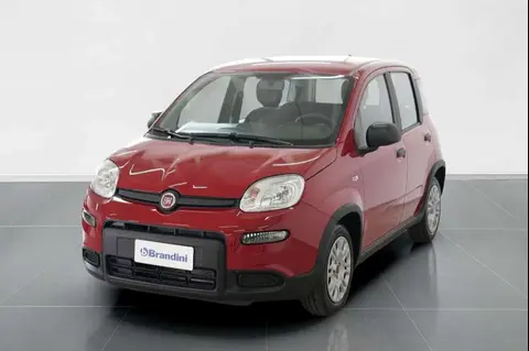 Used FIAT PANDA Hybrid 2024 Ad 