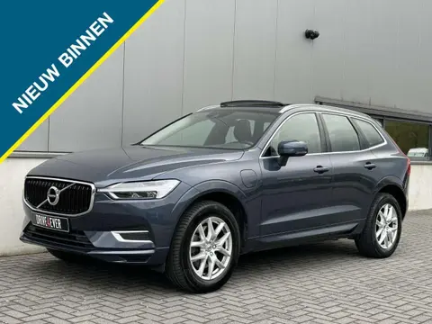 Used VOLVO XC60 Hybrid 2019 Ad 