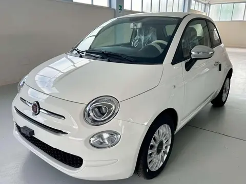 Used FIAT 500 Hybrid 2023 Ad 